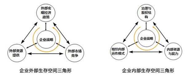 企業(yè)生存空間